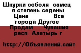 Шкурки соболя (самец) 1-я степень седены › Цена ­ 12 000 - Все города Другое » Продам   . Чувашия респ.,Алатырь г.